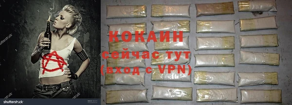 трава Аркадак