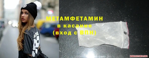 трава Аркадак