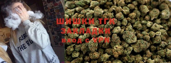 трава Аркадак